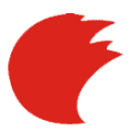 先锋外国语学校