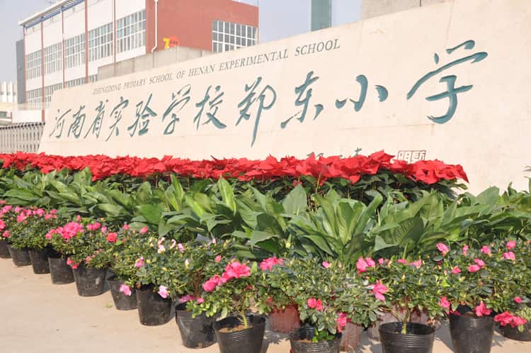 河南省实验学校郑东小学