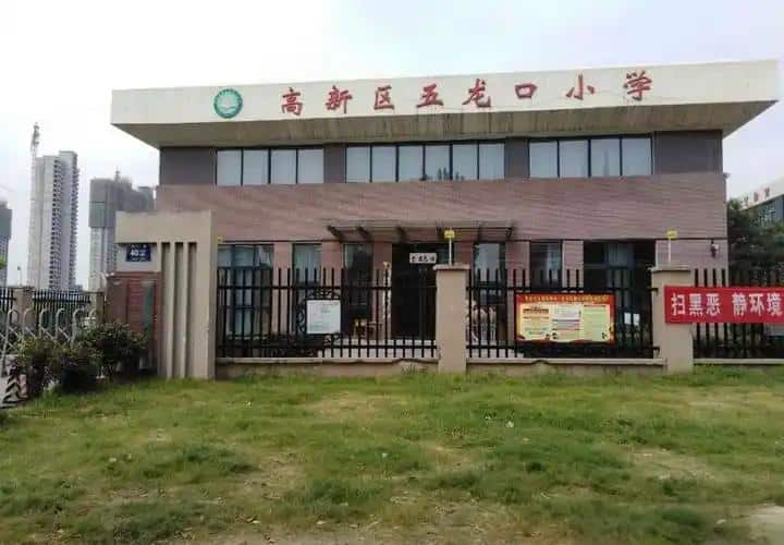 郑州高新技术产业开发区五龙口小学
