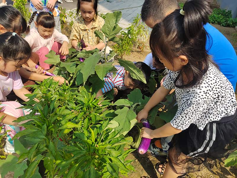 郑州市二七区南溪路小学