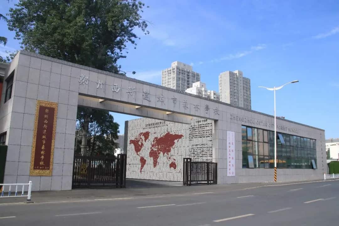 郑州西斯达城市森林学校