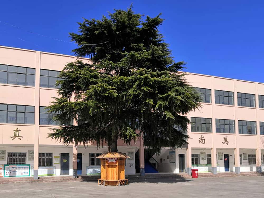 郑州市二七区燕蓉希望小学