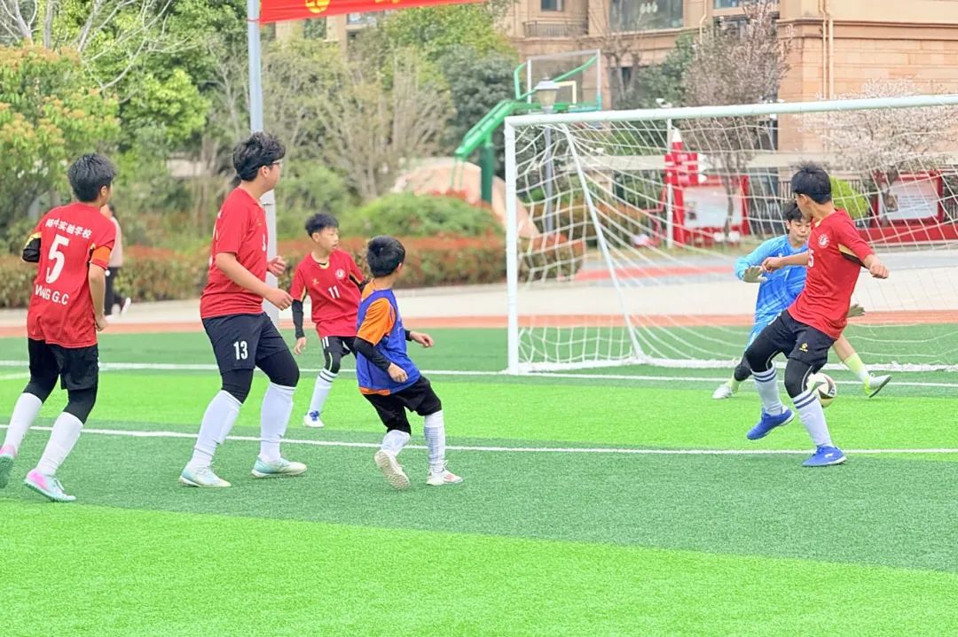 陈中实验学校