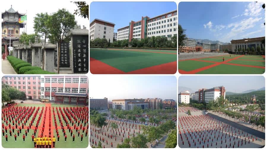 稿定设计导出-20200928-114155.jpg
