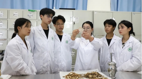郑州树青医学中等专业学校